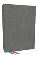 Nkjv, Journal the Word Bible: Reflect, Journal or Create Art Next to Your Favorite Verses (Gray Leathersoft, Red Letter, Comfort Print)