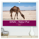 Sinai - Natur Pur (hochwertiger Premium Wandkalender 2024 DIN A2 quer), Kunstdruck in Hochglanz