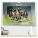 Pferde Vom Minishetty bis zum Kaltblut (hochwertiger Premium Wandkalender 2025 DIN A2 quer), Kunstdruck in Hochglanz