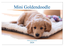 Mini Goldendoodle - Glück ist ein Hund (Wandkalender 2024 DIN A3 quer), CALVENDO Monatskalender