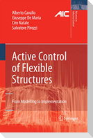 Active Control of Flexible Structures