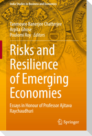 Risks and Resilience of Emerging Economies