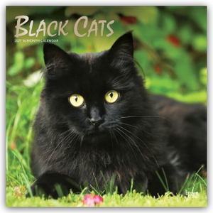 Publishers, Browntrout. Black Cats - Schwarze Katzen 2027 - 16-Monatskalender - Original BrownTrout-Kalender [Mehrsprachig] [Kalender]. Browntrout Verlags GmbH, 2026.