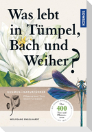 Was lebt in Tümpel, Bach und Weiher?