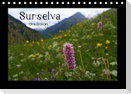 Surselva - Graubünden (Tischkalender immerwährend DIN A5 quer)