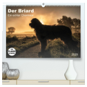Der Briard 2025 - Ein echter Charmeur (hochwertiger Premium Wandkalender 2025 DIN A2 quer), Kunstdruck in Hochglanz