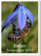 Bienen-Terminplaner 2024 (Wandkalender 2024 DIN A2 hoch), CALVENDO Monatskalender