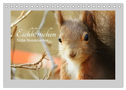Eichhörnchen - Süße Nussknacker (Tischkalender 2024 DIN A5 quer), CALVENDO Monatskalender