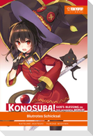Konosuba! God's Blessing On This Wonderful World! Light Novel 09