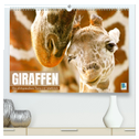 Giraffen: die afrikanischen Tiere mit Weitblick (hochwertiger Premium Wandkalender 2025 DIN A2 quer), Kunstdruck in Hochglanz