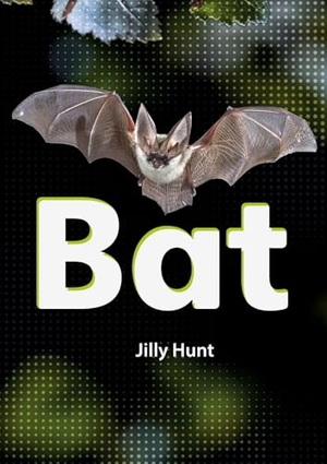 Hunt, Jilly. Set 02 - Bat. Scholastic, 2024.
