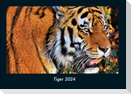 Tiger 2024 Fotokalender DIN A4