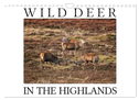 Wild Deer In The Highlands (Wall Calendar 2025 DIN A4 landscape), CALVENDO 12 Month Wall Calendar