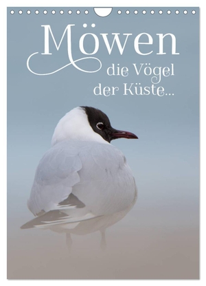 Spiegler, Heidi. Möwen - die Vögel der Küste (Wandkalender 2024 DIN A4 hoch), CALVENDO Monatskalender - 13 wundervolle Möwenbilder. Calvendo Verlag, 2023.
