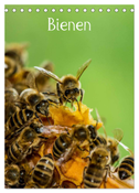 Bienen (Tischkalender 2024 DIN A5 hoch), CALVENDO Monatskalender