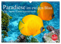 Paradiese im ewigen Blau. Die bunte Unterwasserwelt (Wandkalender 2025 DIN A3 quer), CALVENDO Monatskalender