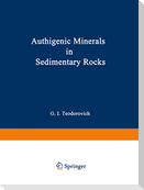 Authigenic Minerals in Sedimentary Rocks