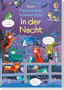 Meine ersten Wimmelrätsel: In der Nacht