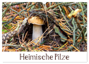Heimische Pilze (Wandkalender 2025 DIN A3 quer), CALVENDO Monatskalender