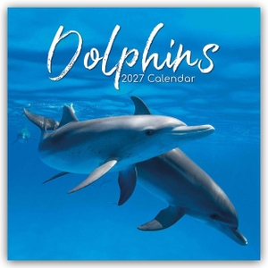 Gifted, The. Dolphins - Delfine - Delphine 2027 - 16-Monatskalender - Original The Gifted Stationery Co. Ltd [Mehrsprachig] [Kalender]. Browntrout Verlags GmbH, 2026.