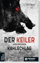 Der Keiler vom großen Kahlschlag