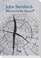 Bilinmeyen Bir Tanriya