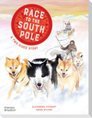 Race to the South Pole