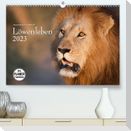 Emotionale Momente: Löwenleben (Premium, hochwertiger DIN A2 Wandkalender 2023, Kunstdruck in Hochglanz)
