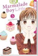 Marmalade Boy Little 04