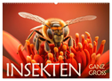 Insekten ganz gross (Wandkalender 2024 DIN A2 quer), CALVENDO Monatskalender