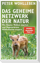 Das geheime Netzwerk der Natur