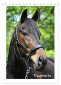 Traumhafte Pferdeportraits (Tischkalender 2025 DIN A5 hoch), CALVENDO Monatskalender
