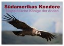 Südamerikas Kondore - Majestätische Könige der Anden (Wandkalender 2025 DIN A2 quer), CALVENDO Monatskalender