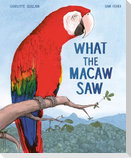 What the Macaw Saw