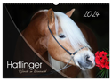 Haflinger-Pferde in Reinzucht (Wandkalender 2024 DIN A3 quer), CALVENDO Monatskalender
