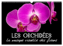 Les Orchidées - La musique visuelle des fleurs (Calendrier mural 2025 DIN A3 vertical), CALVENDO calendrier mensuel
