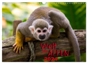 Welt der Affen (Wandkalender 2024 DIN A3 quer), CALVENDO Monatskalender