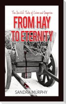 From Hay to Eternity