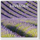 Lavender - Lavendel 2027 - 16-Monatskalender