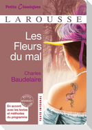 Les fleurs du mal
