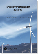 Energieversorgung der Zukunft: Nachhaltigkeit in der Energiebranche