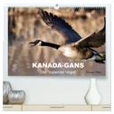 KANADA-GANS - Der 'hupende' Vogel (hochwertiger Premium Wandkalender 2025 DIN A2 quer), Kunstdruck in Hochglanz