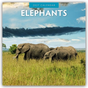 Red, Robin. Elephants - Elefanten 2027 - 16-Monatskalender - Original Red Robin Publishing Ltd-Kalender [Mehrsprachig] [Kalender]. Browntrout Verlags GmbH, 2026.