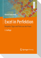 Excel in Perfektion
