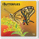 Butterflies - Schmetterlinge 2027 - 16-Monatskalender
