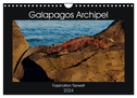 Galapagos Archipel- Faszination Tierwelt (Wandkalender 2024 DIN A4 quer), CALVENDO Monatskalender