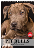 Pit Bulls und Freunde (Wandkalender 2024 DIN A2 hoch), CALVENDO Monatskalender