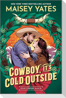 Cowboy, It's Cold Outside