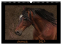 Animals (Wandkalender 2024 DIN A3 quer), CALVENDO Monatskalender