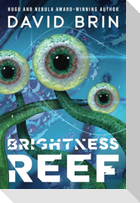 Brightness Reef